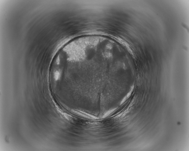X0000097841231200804111056