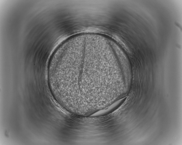 X0000097841232200804111056