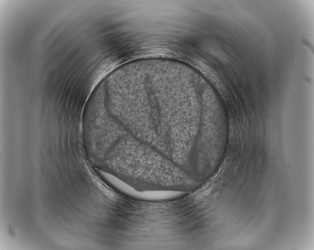 X0000097841234200804111056