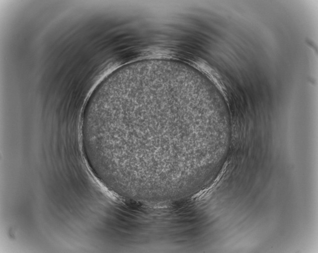X0000097841235200804111056