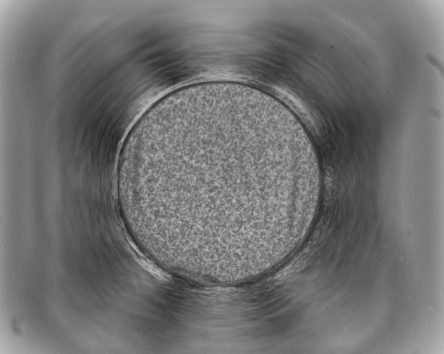 X0000097841236200804111056