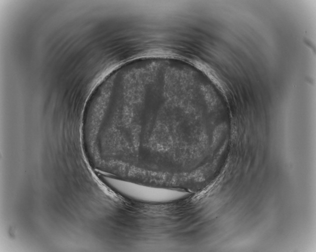 X0000097841237200804111056