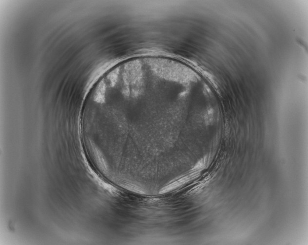 X0000097841239200804111056