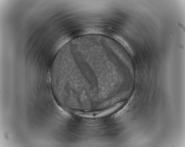 X0000097841241200804111056