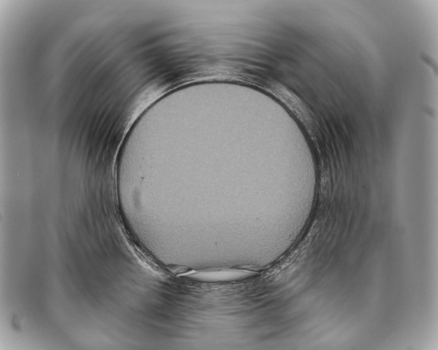 X0000097841242200804111056