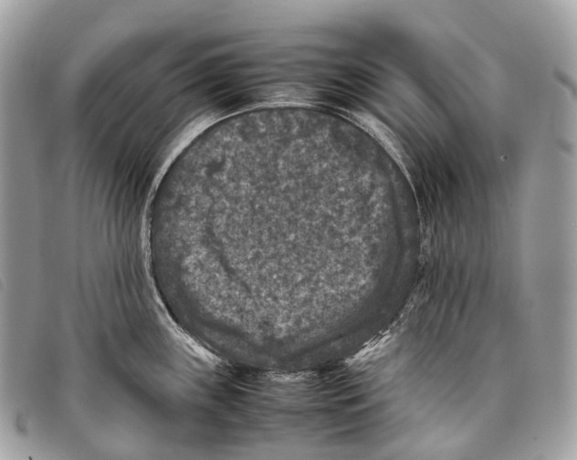 X0000097841243200804111056