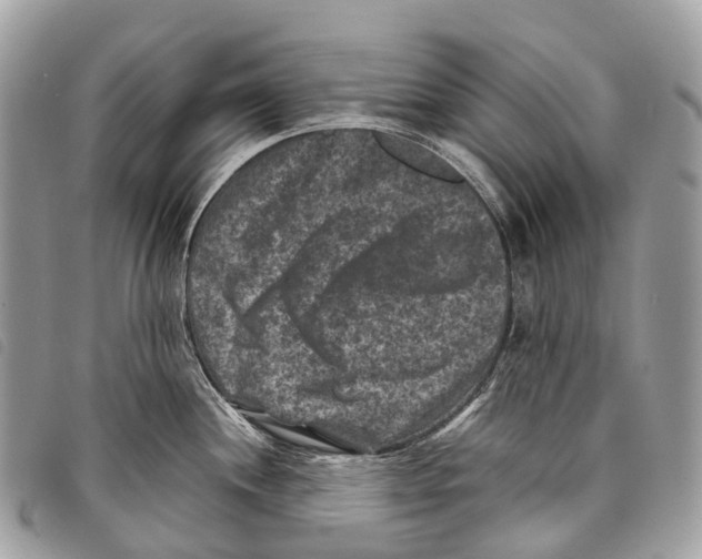 X0000097841244200804111056