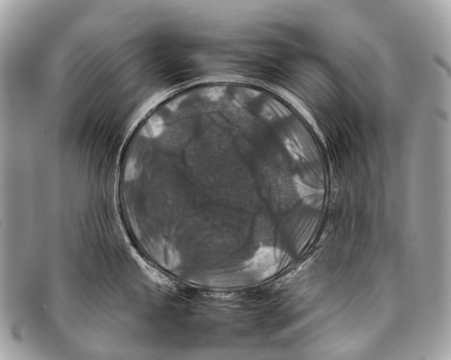 X0000097841245200804111056