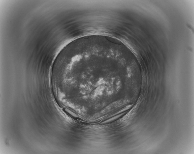 X0000097841246200804111056