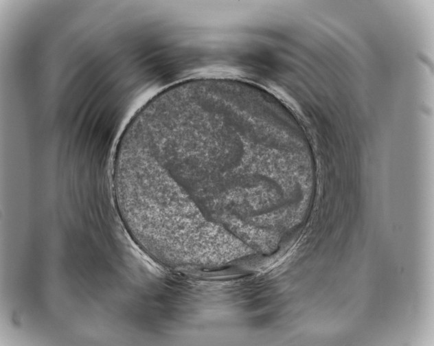 X0000097841248200804111056