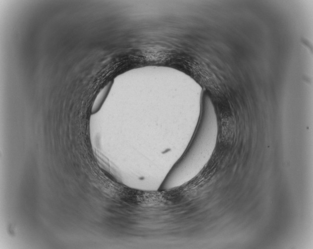 X0000097841249200804111055