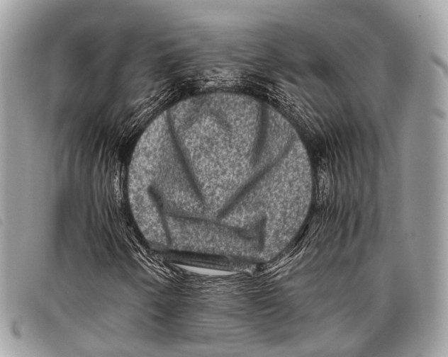 X0000097841250200804111055