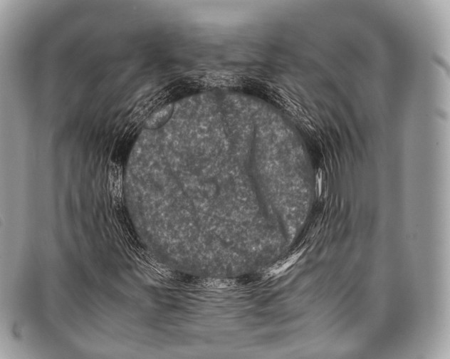 X0000097841251200804111055