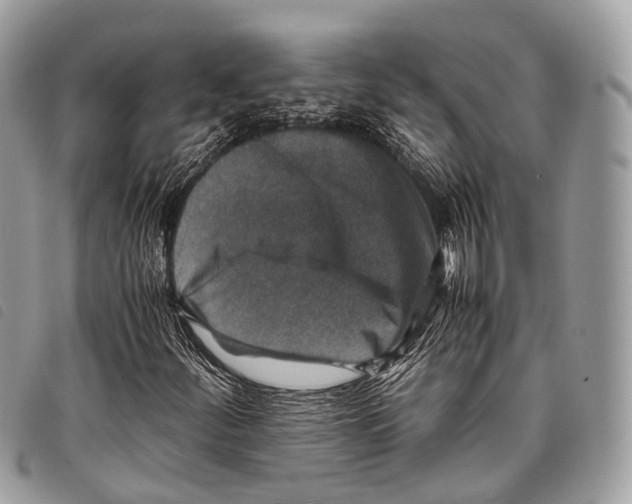 X0000097841252200804111055