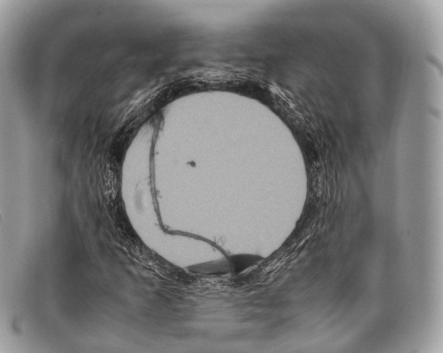 X0000097841253200804111055