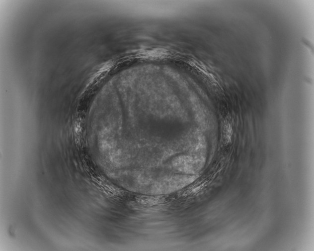 X0000097841254200804111055