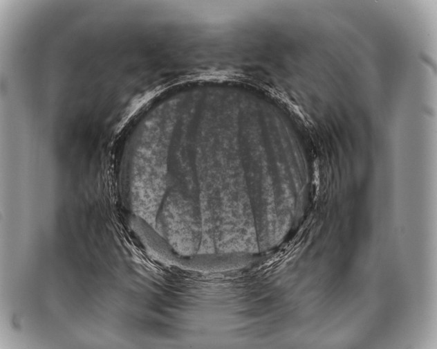 X0000097841256200804111055