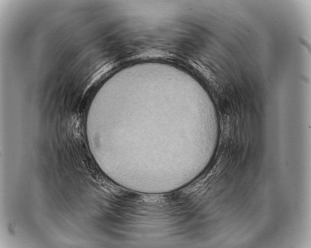 X0000097841258200804111055