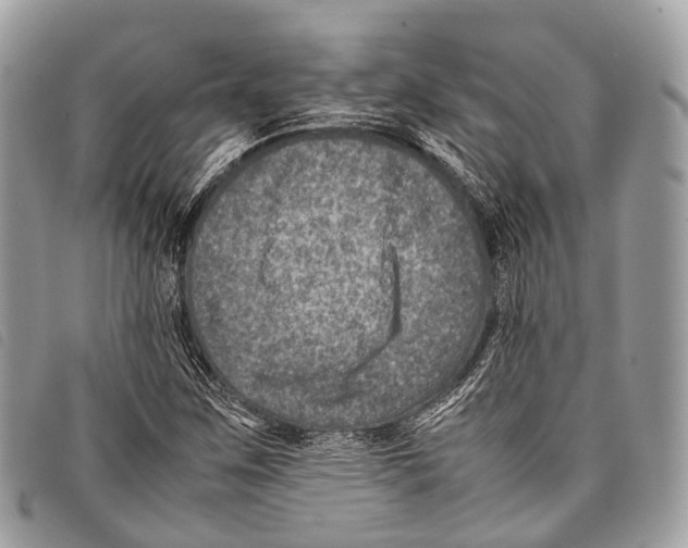 X0000097841259200804111055