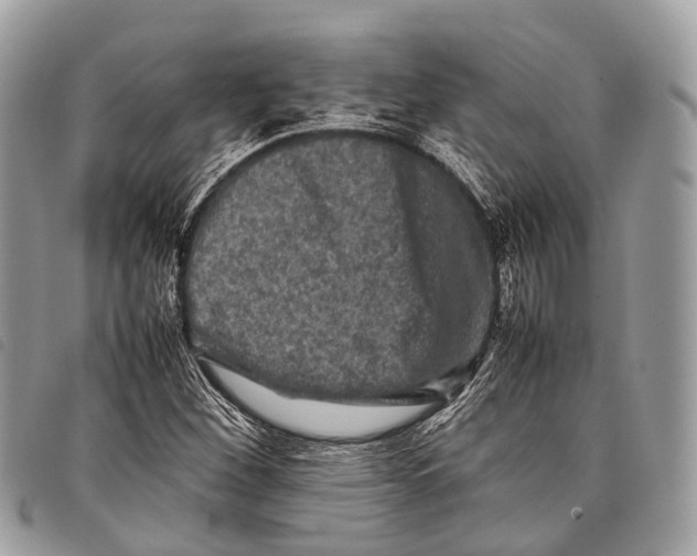 X0000097841260200804111055