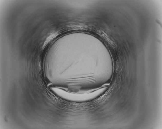 X0000097841261200804111055