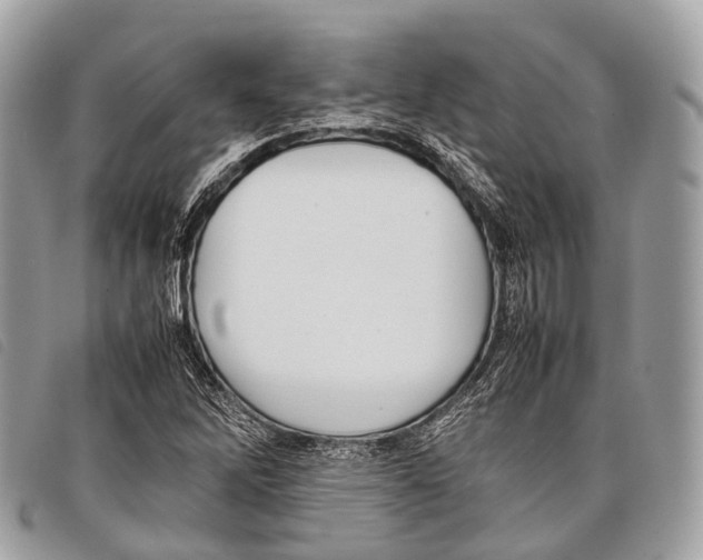 X0000097841262200804111055