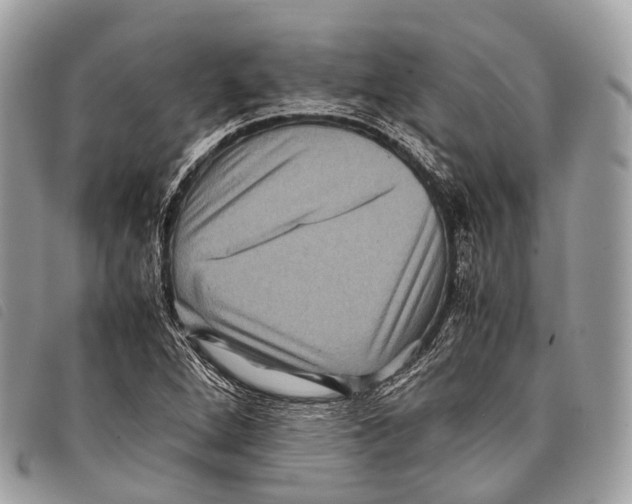 X0000097841264200804111055