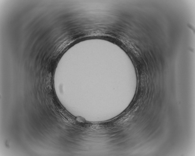 X0000097841265200804111055