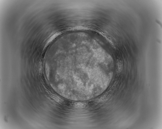 X0000097841266200804111055