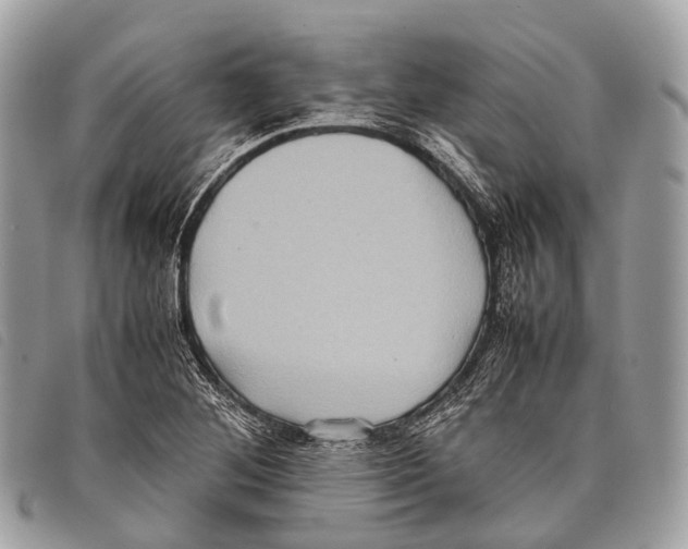 X0000097841268200804111055