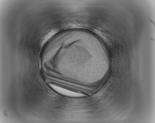 X0000097841269200804111055