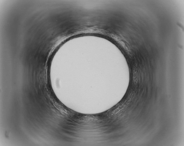 X0000097841270200804111055