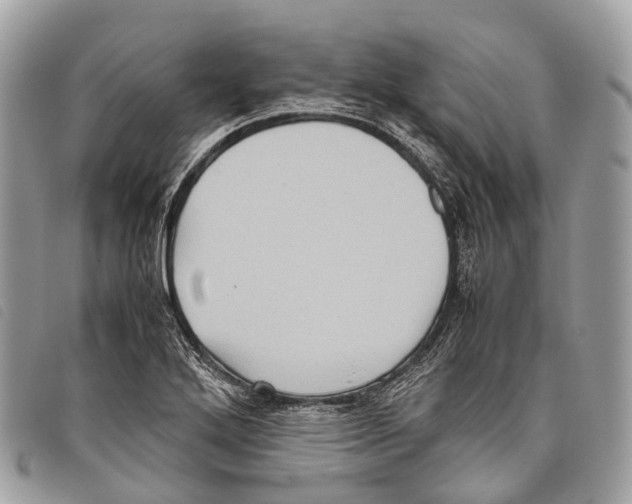 X0000097841272200804111055