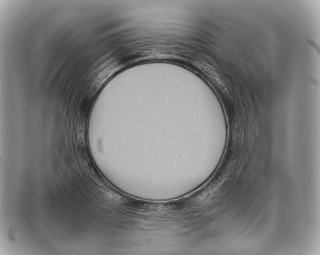 X0000097841273200804111055