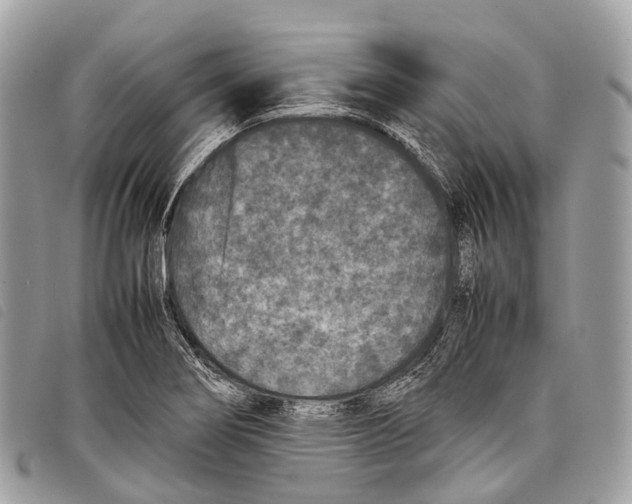 X0000097841274200804111055