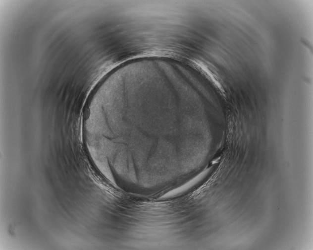 X0000097841276200804111055