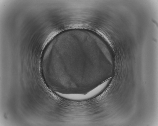 X0000097841277200804111055