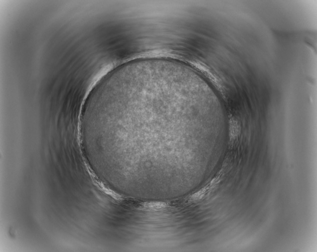 X0000097841278200804111055