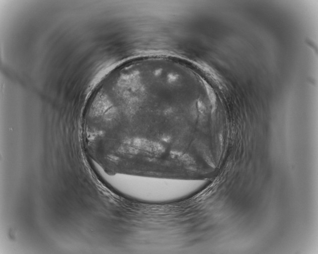 X0000097841279200804111055