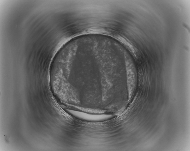 X0000097841280200804111055