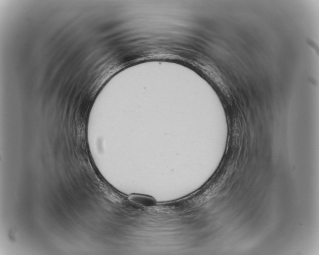 X0000097841281200804111055