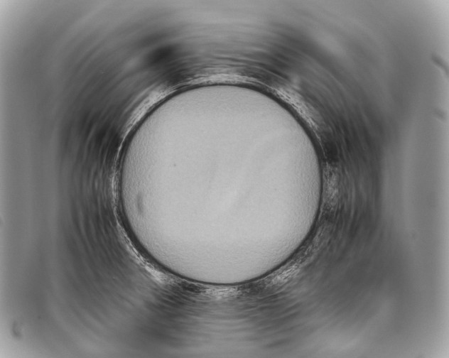 X0000097841282200804111055