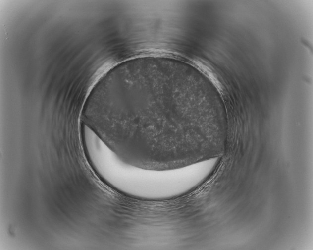 X0000097841283200804111055
