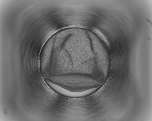 X0000097841284200804111055