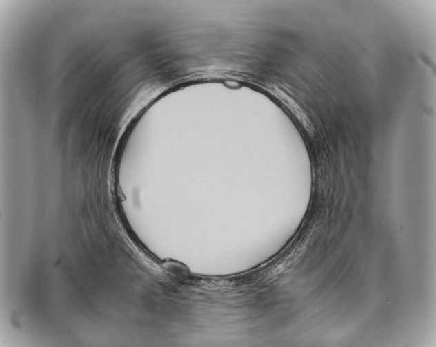 X0000097841285200804111055