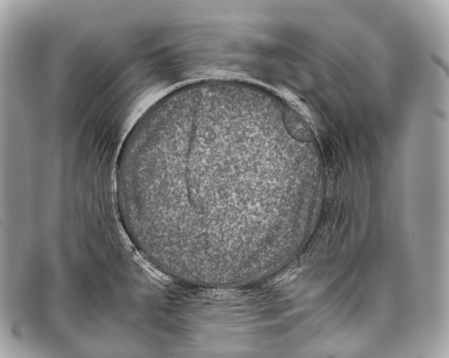 X0000097841287200804111055
