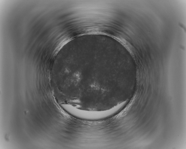 X0000097841289200804111055