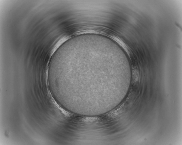 X0000097841290200804111055