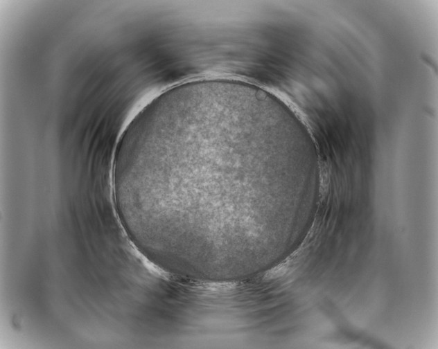 X0000097841294200804111055