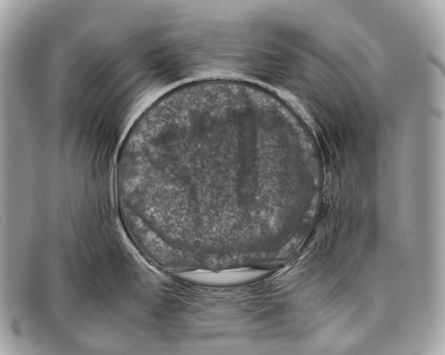 X0000097841295200804111055